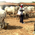 Netzence, Ministry of Livestock Development detect rapid seasonal Methane spikes in iivestock systems