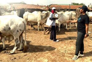 Netzence, Ministry of Livestock Development detect rapid seasonal Methane spikes in iivestock systems